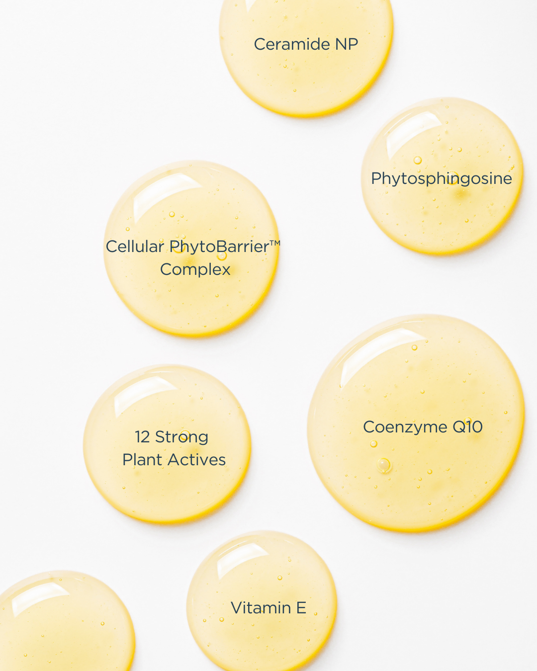 BARRIER-REVIVEâ„¢ ELIXIR - PHYTOSKIN