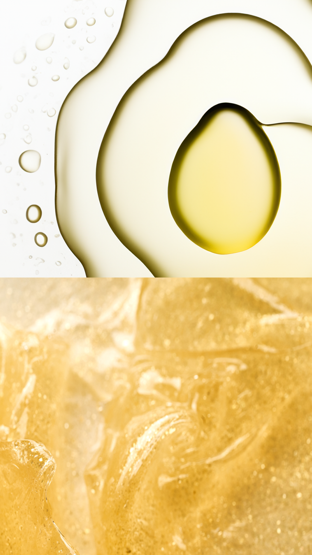 Phytoskin Multi-Target Essentials Set - PHYTOSKIN